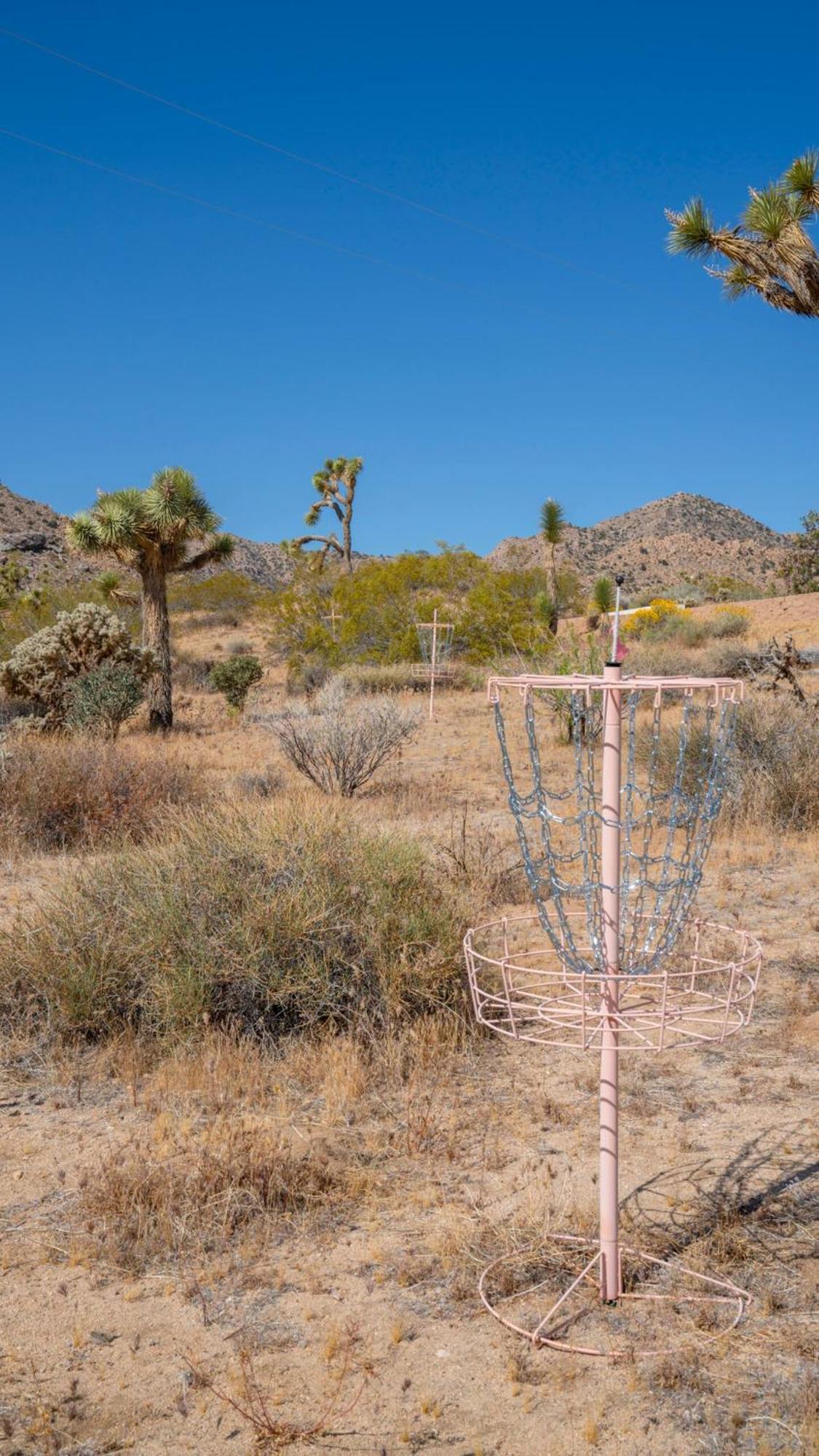 Experience Desert Serenity Gateway To Joshua Tree Eksteriør bilde